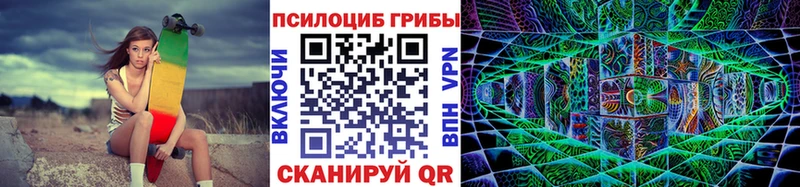 Псилоцибиновые грибы Psilocybe кракен сайт Дыгулыбгей